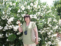 ����� ���������